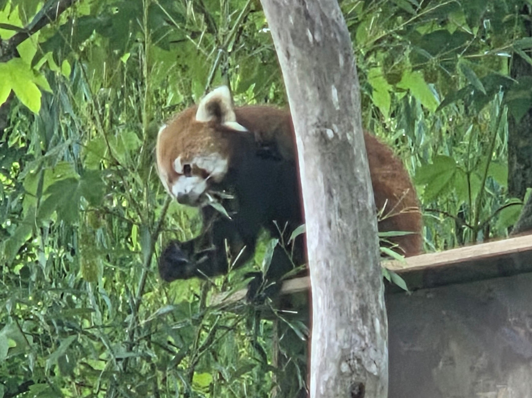 Tiergarten Kleve-克莱韦县必去景点