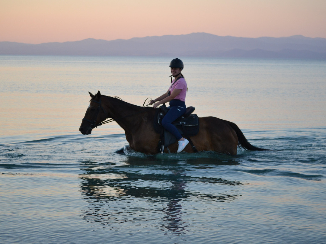 Horse-Ranch Manippos Halkidiki-Kassandra必去景点