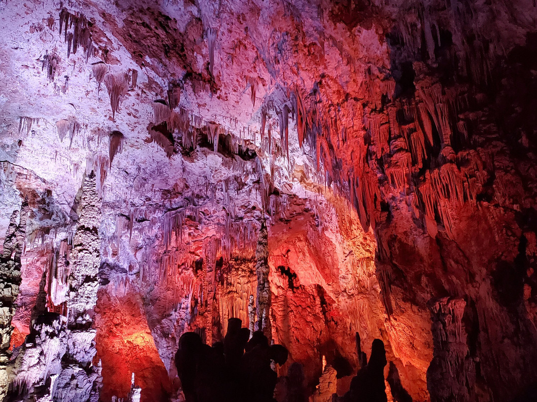 Grotte de la Salamandre-Mejannes-le-Clap必去景点