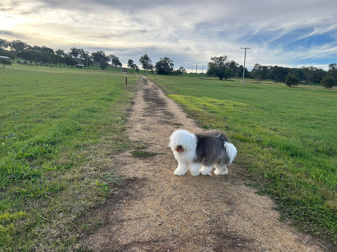 Cowra Prisoner of War Camp-考兰必去景点