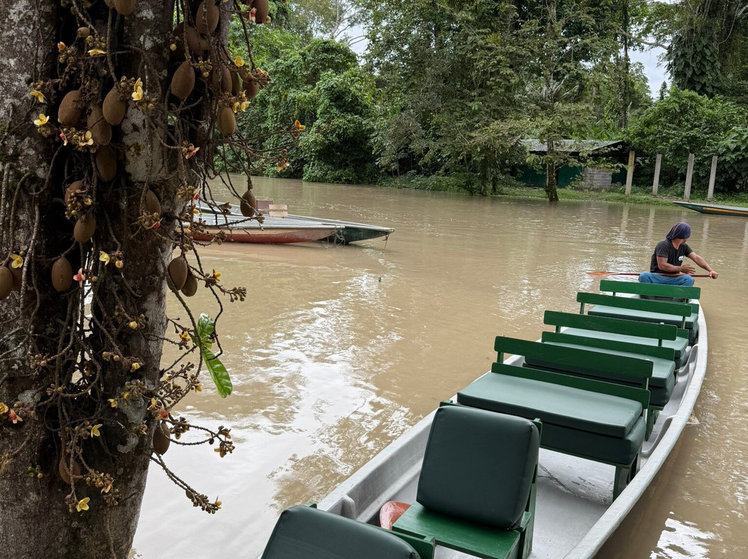 Napo Wildlife Center Ecolodge主图
