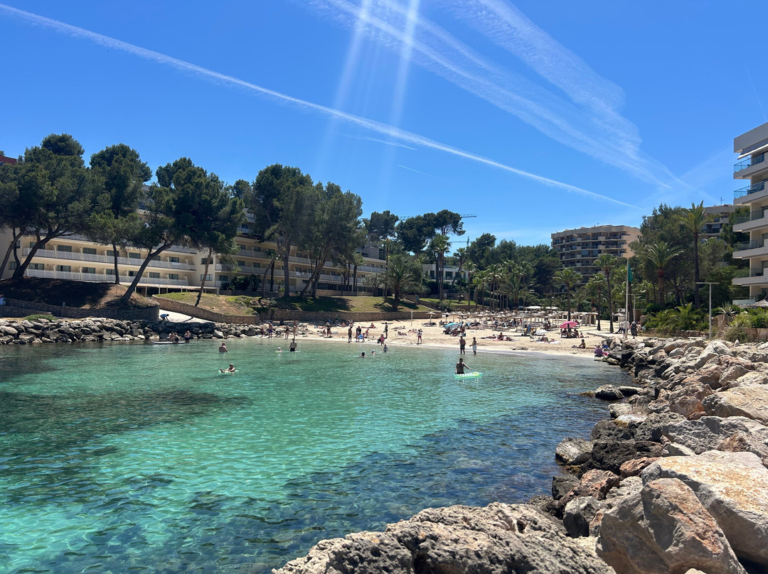 Cala Vinyes beach