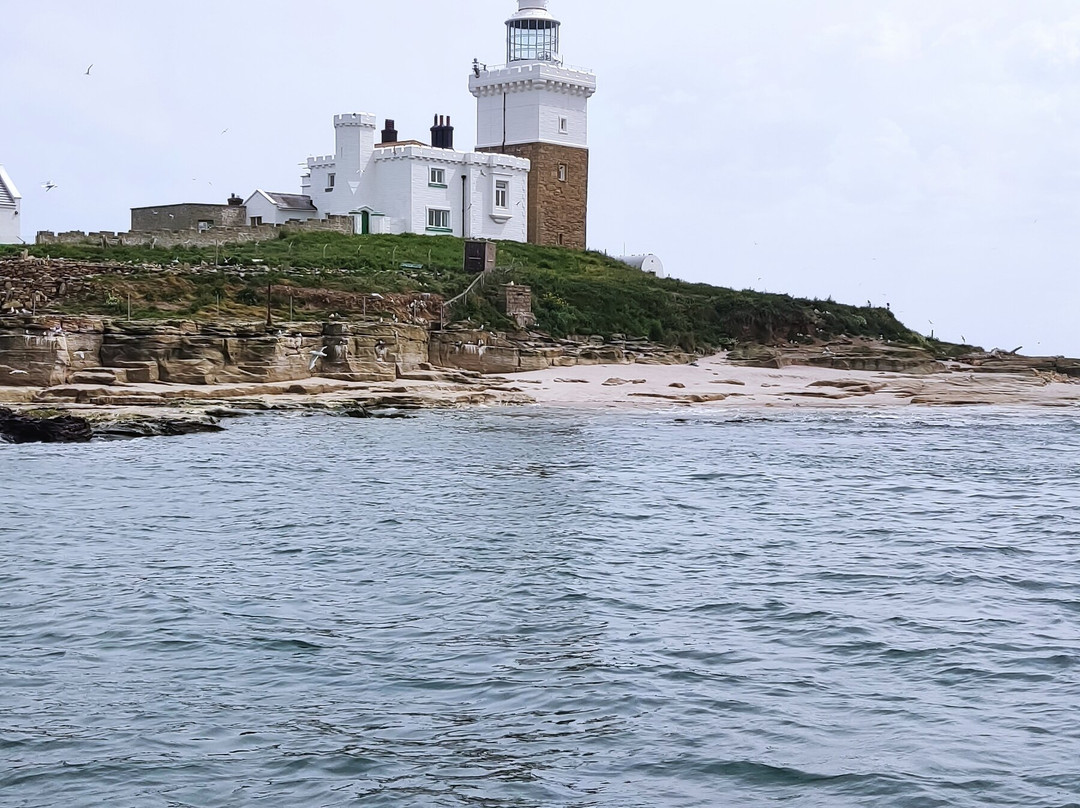 Amble boat trips-Amble必去景点