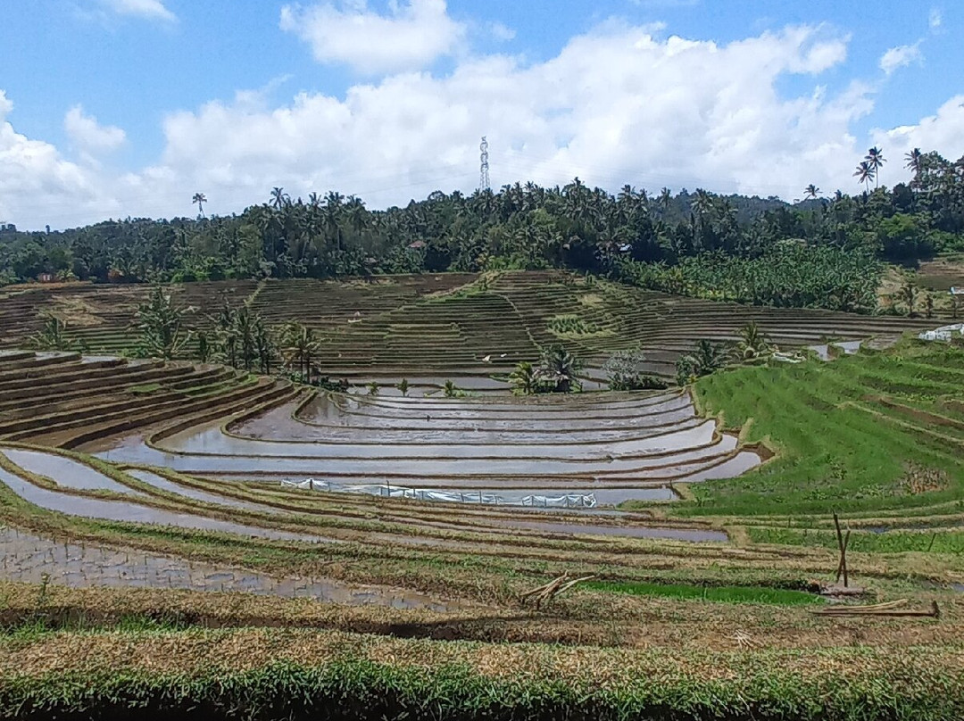 Belimbing Village-达巴南必去景点