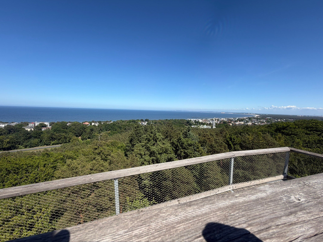 Baumwipfelpfad Usedom