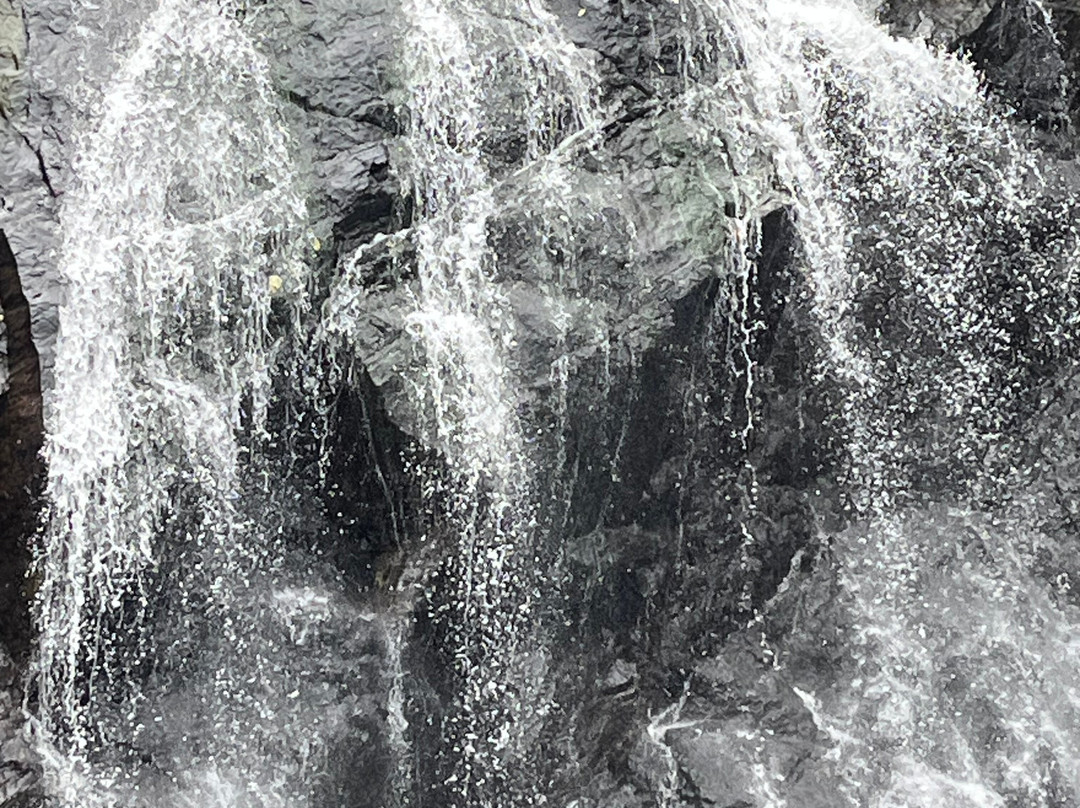 Vuadomo Waterfall - Muanivatu Trails-萨武萨武必去景点