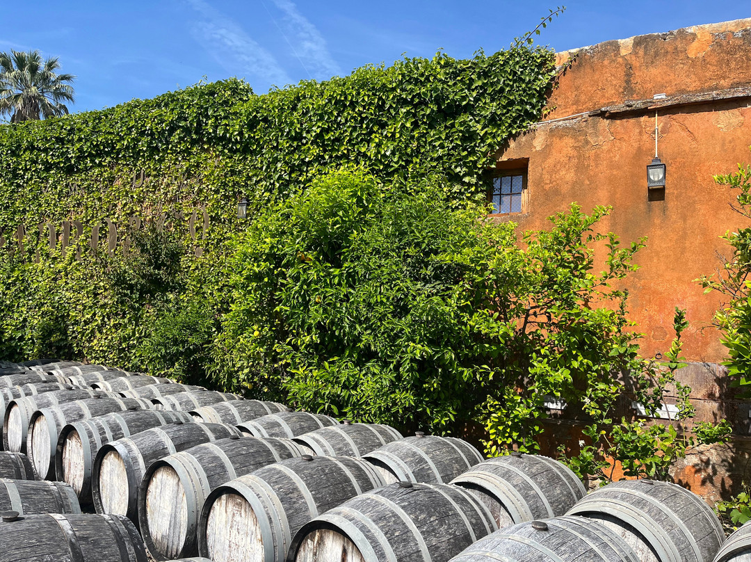 Casa Vermouth Padró-Brafim必去景点