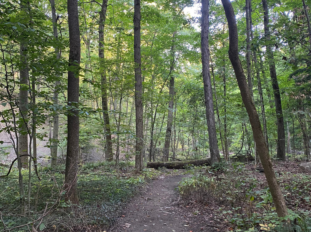 Lake Metroparks Penitentiary Glen Reservation-Kirtland必去景点