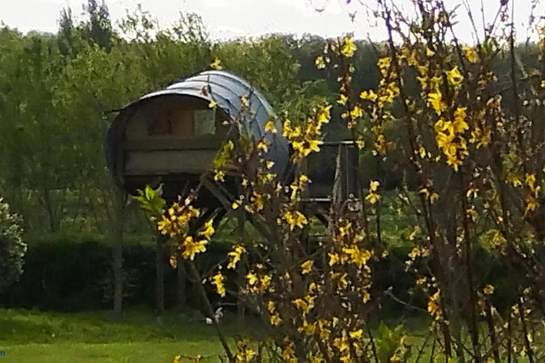 La haut