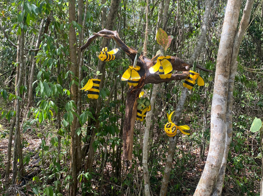 Mayan Bee Sanctuary-San Miguel de Cozumel必去景点