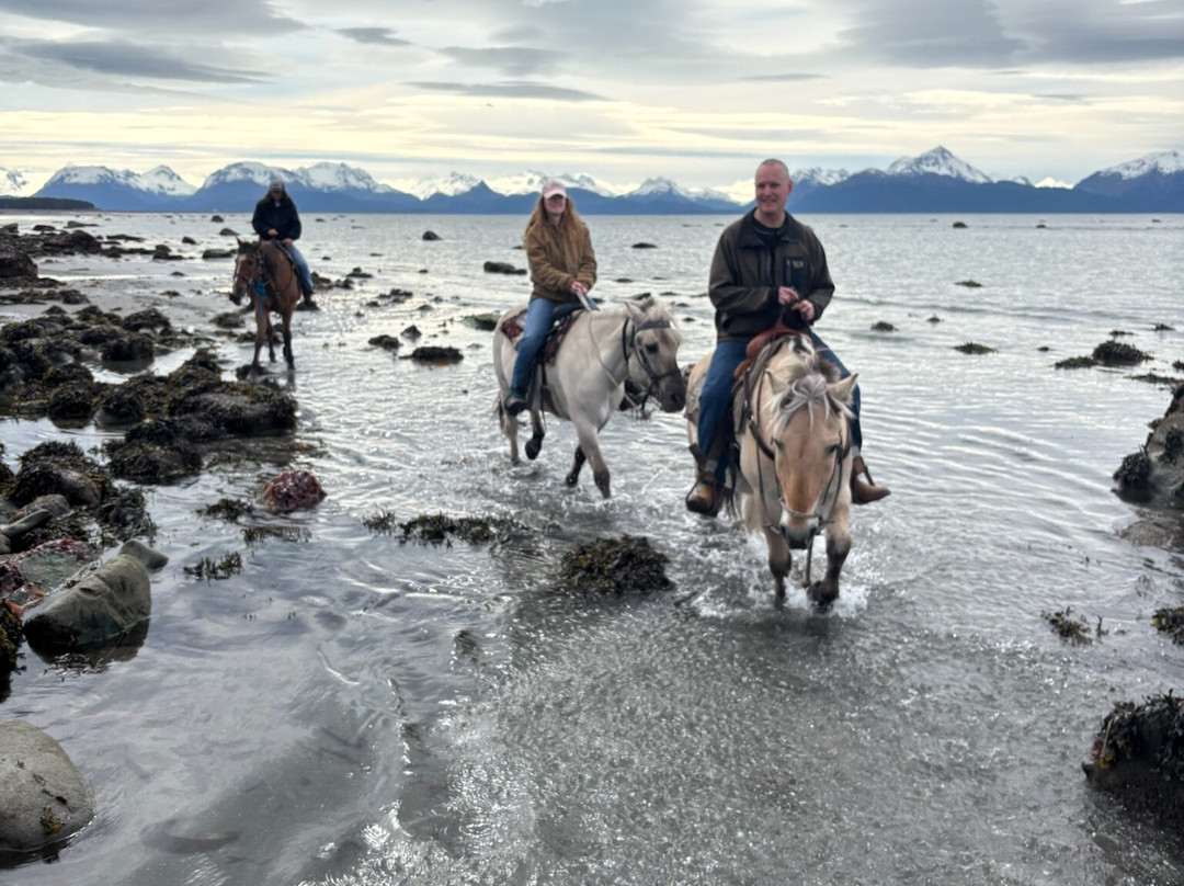 漂流木旅馆及海滨小屋主图