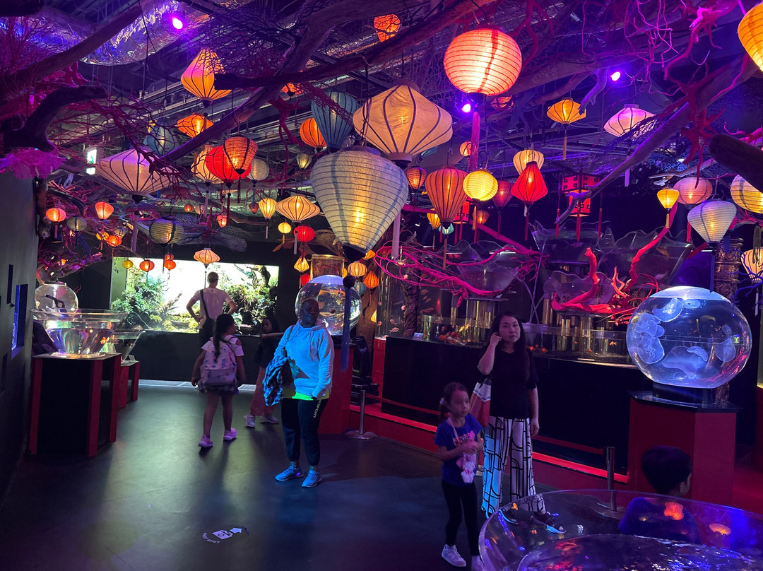 Uws Aquarium Ga Kyo