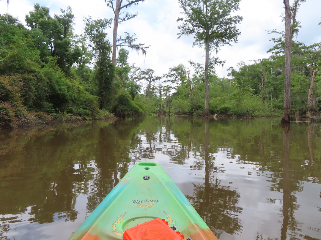 Honey Island Kayak Tours-Pearl River必去景点