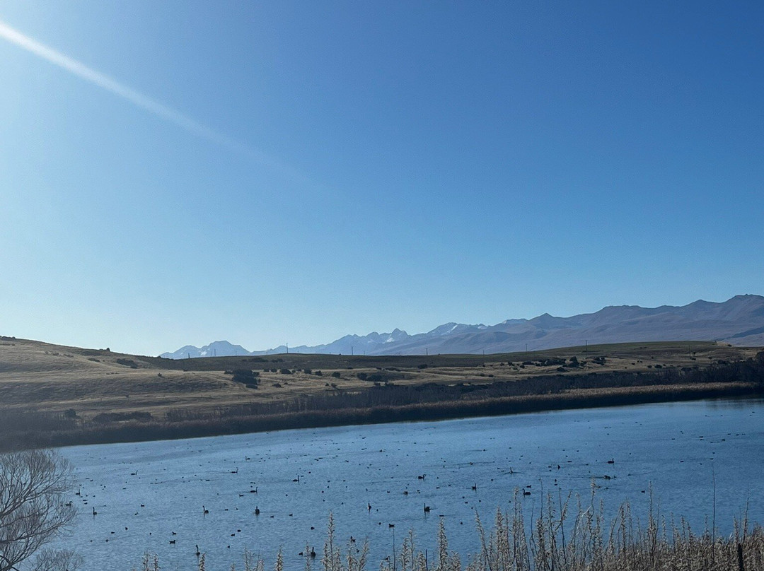 Lake Alexandrina-特卡波湖必去景点