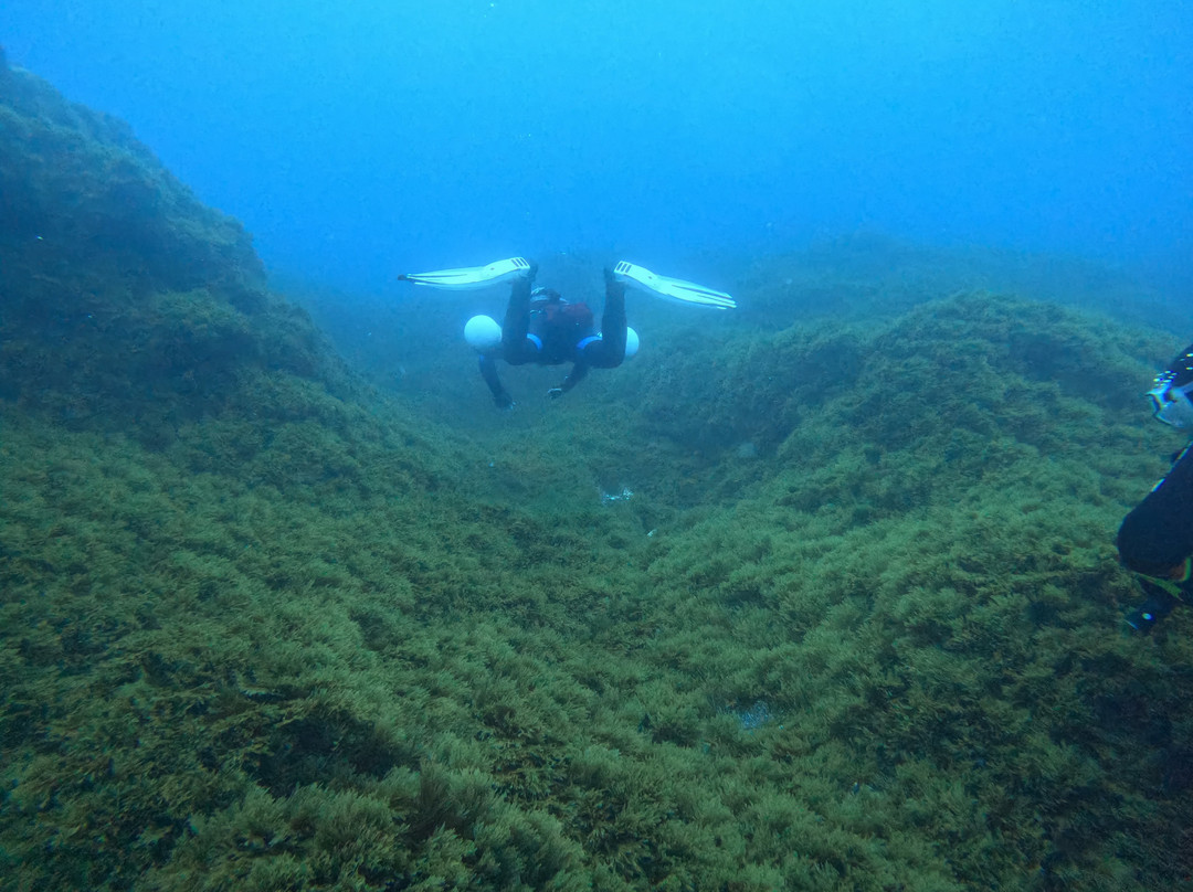 Azzurro - Dive Academy | Azores-Rabo de Peixe必去景点