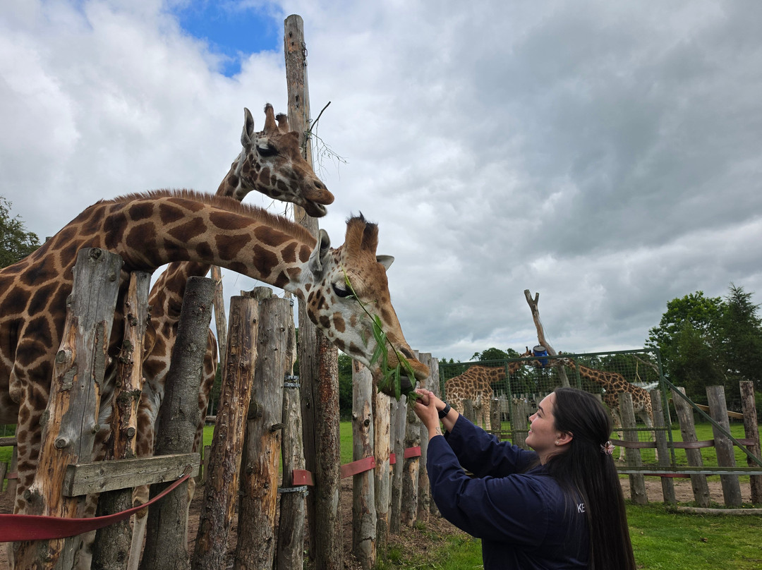 Blair Drummond Safari & Adventure Park-斯特灵必去景点
