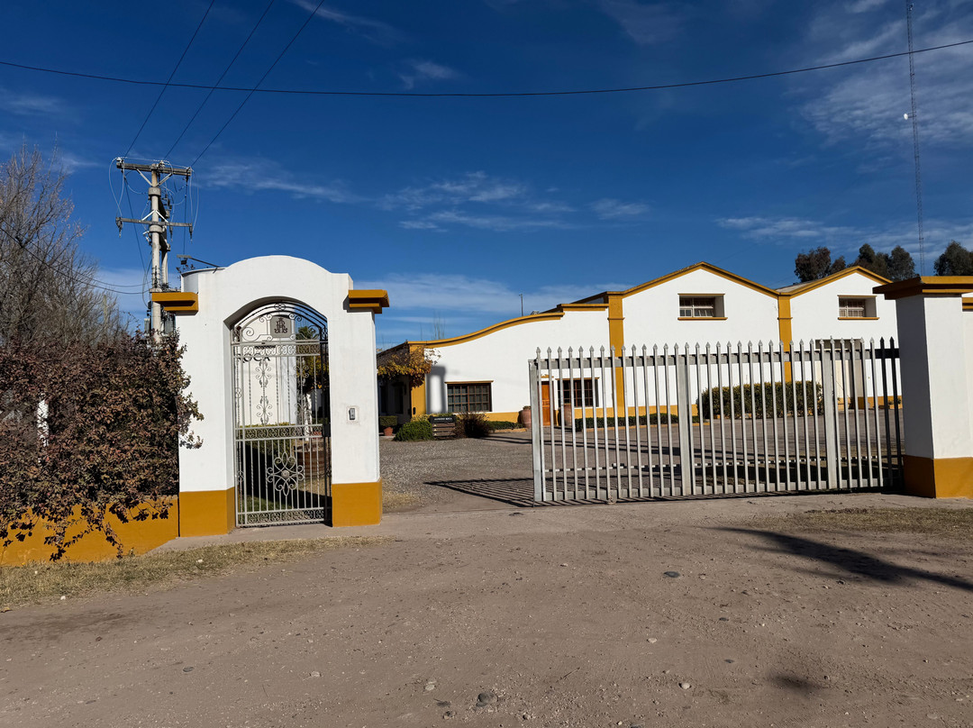 Bodega Alfredo Roca-圣拉斐尔必去景点
