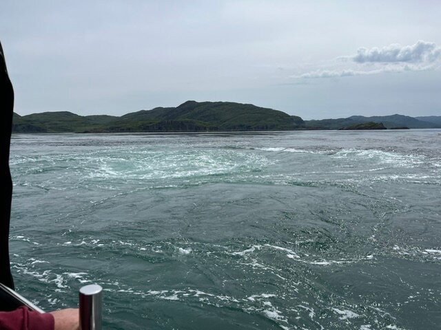 Islay Sea Adventures-Port Ellen必去景点