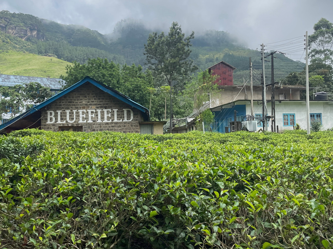Travelers Choice To Ceylon-科伦坡必去景点