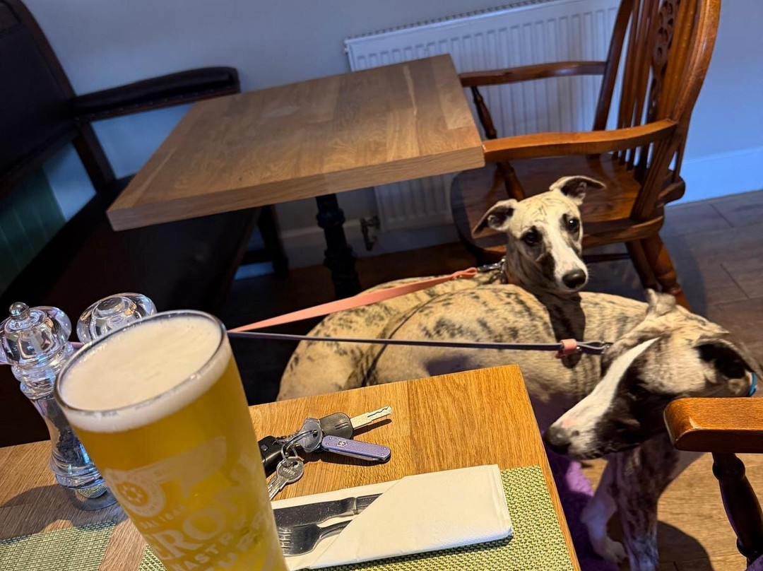 The Plough Inn Leitholm B&B主图
