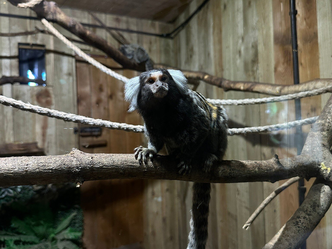 Exotic Zoo Wildlife Park + Natural History & Dino Museum-特尔福德必去景点