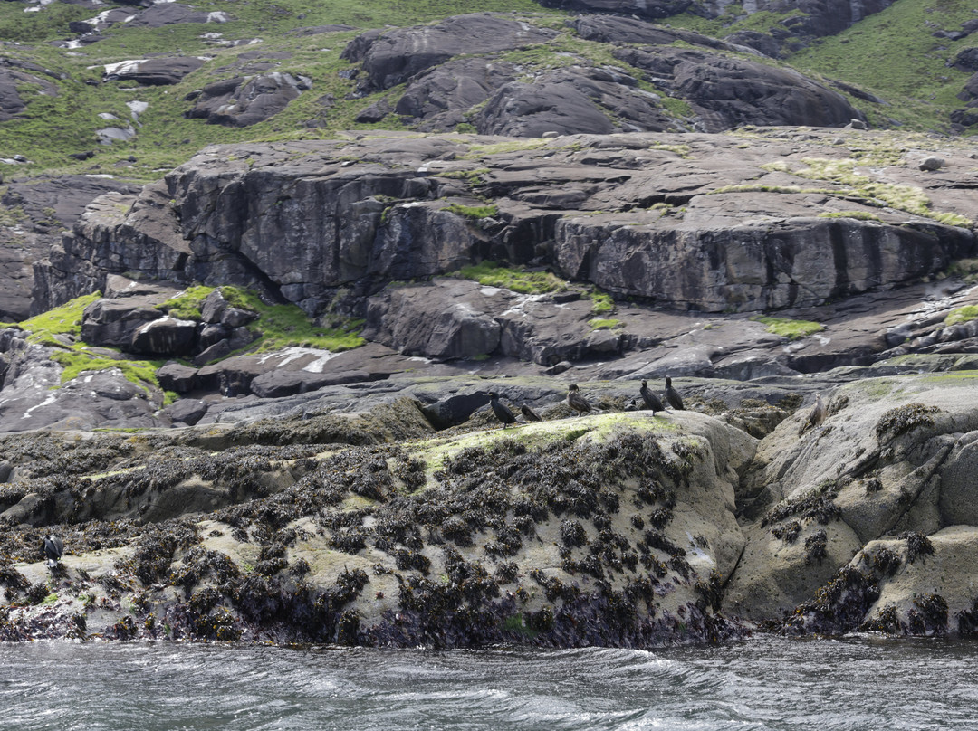 Misty Isle Boat Trips-Elgol必去景点