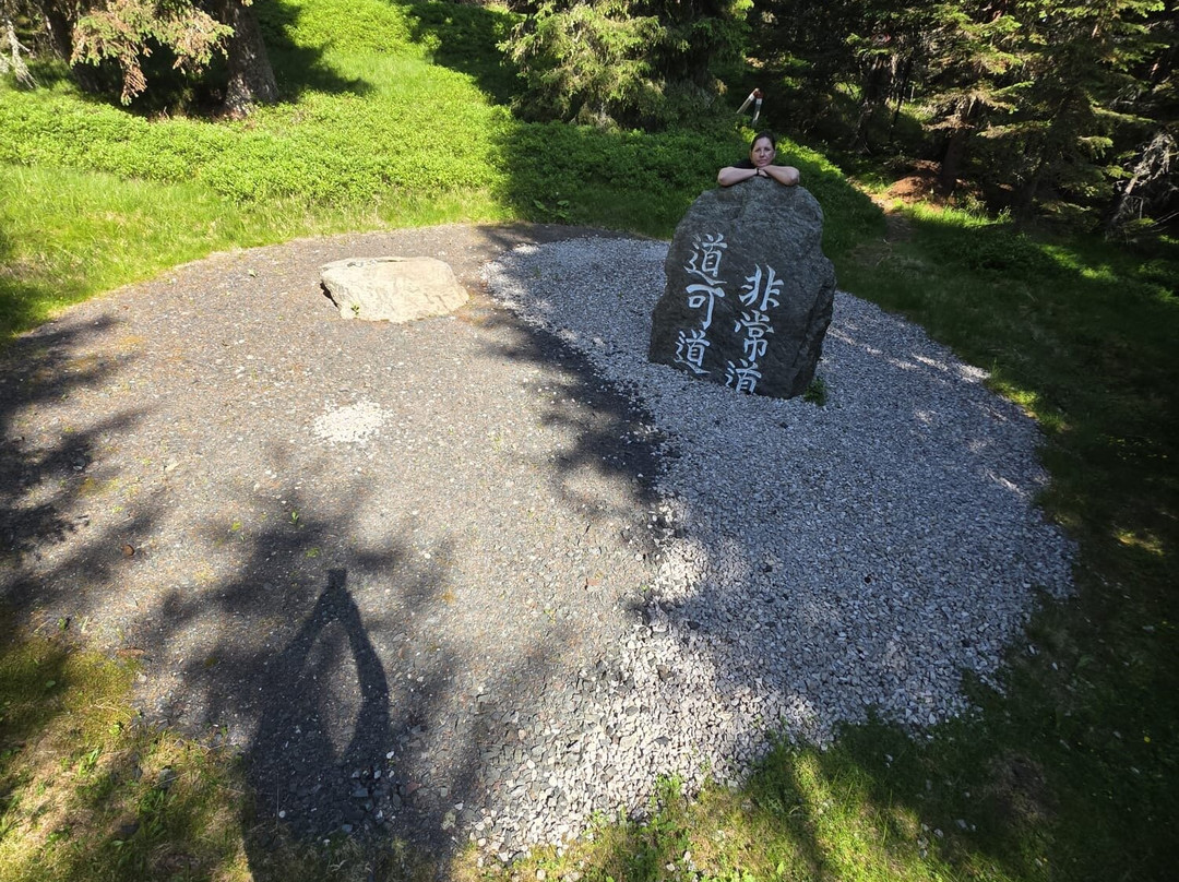 菲尔伯格山间酒店主图