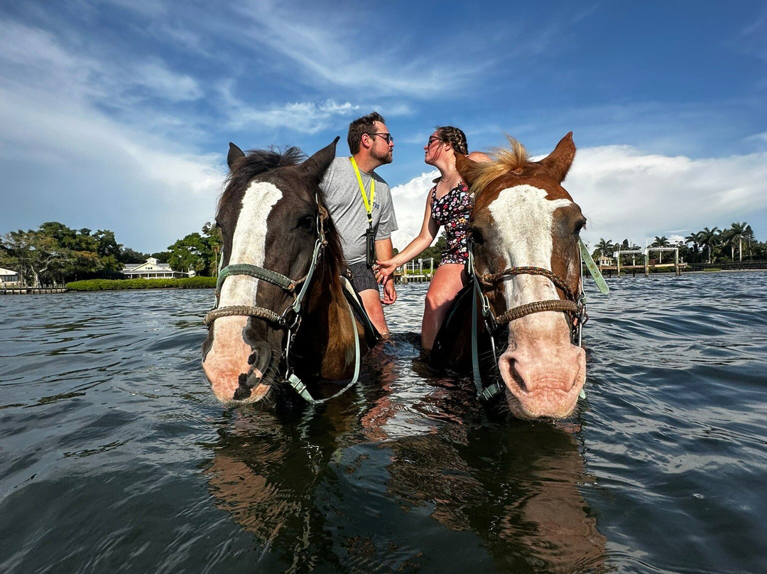 Florida Beach Horses-布雷登顿必去景点