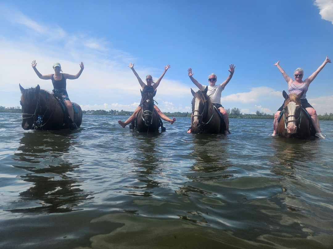 Florida Beach Horses-布雷登顿必去景点