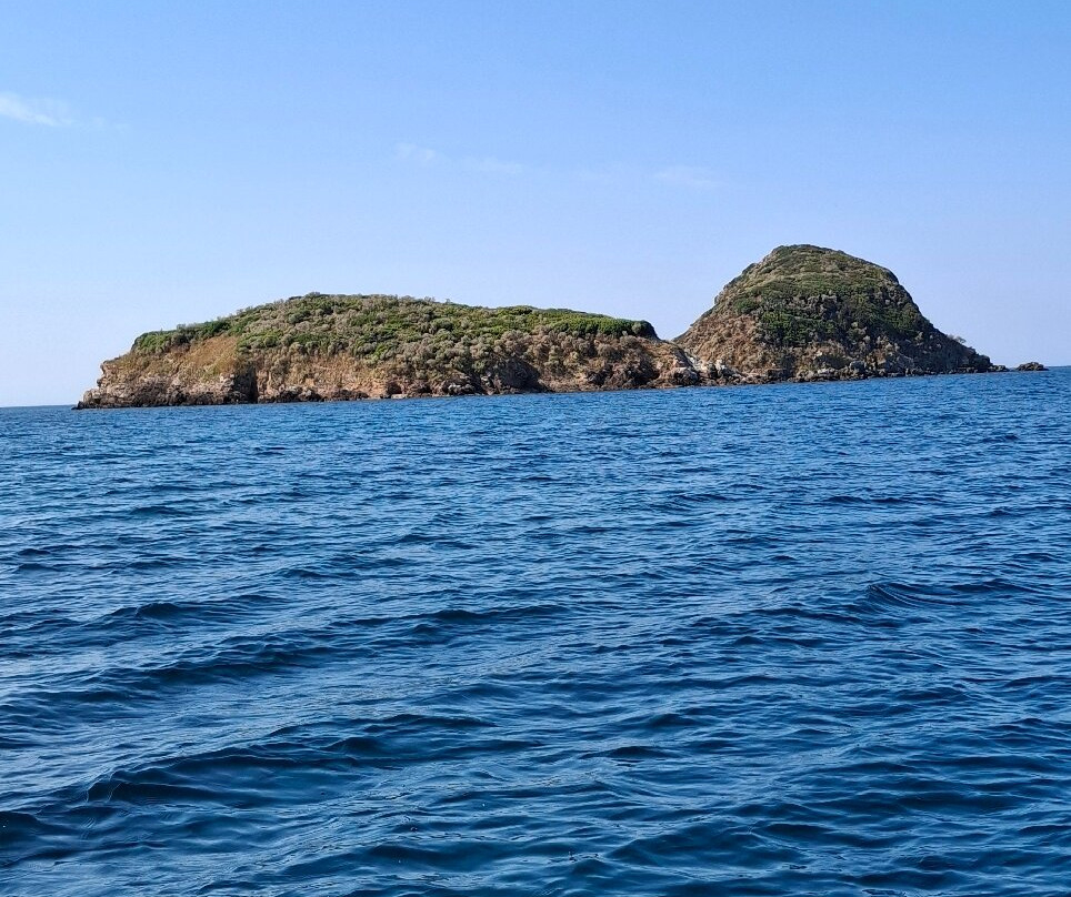 Baiarda Dive Boat Excursions-Lacona必去景点