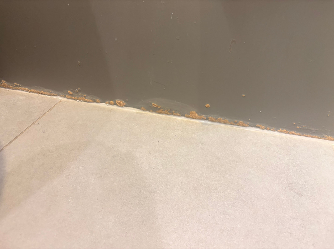 塔拉特马德龙酒店主图