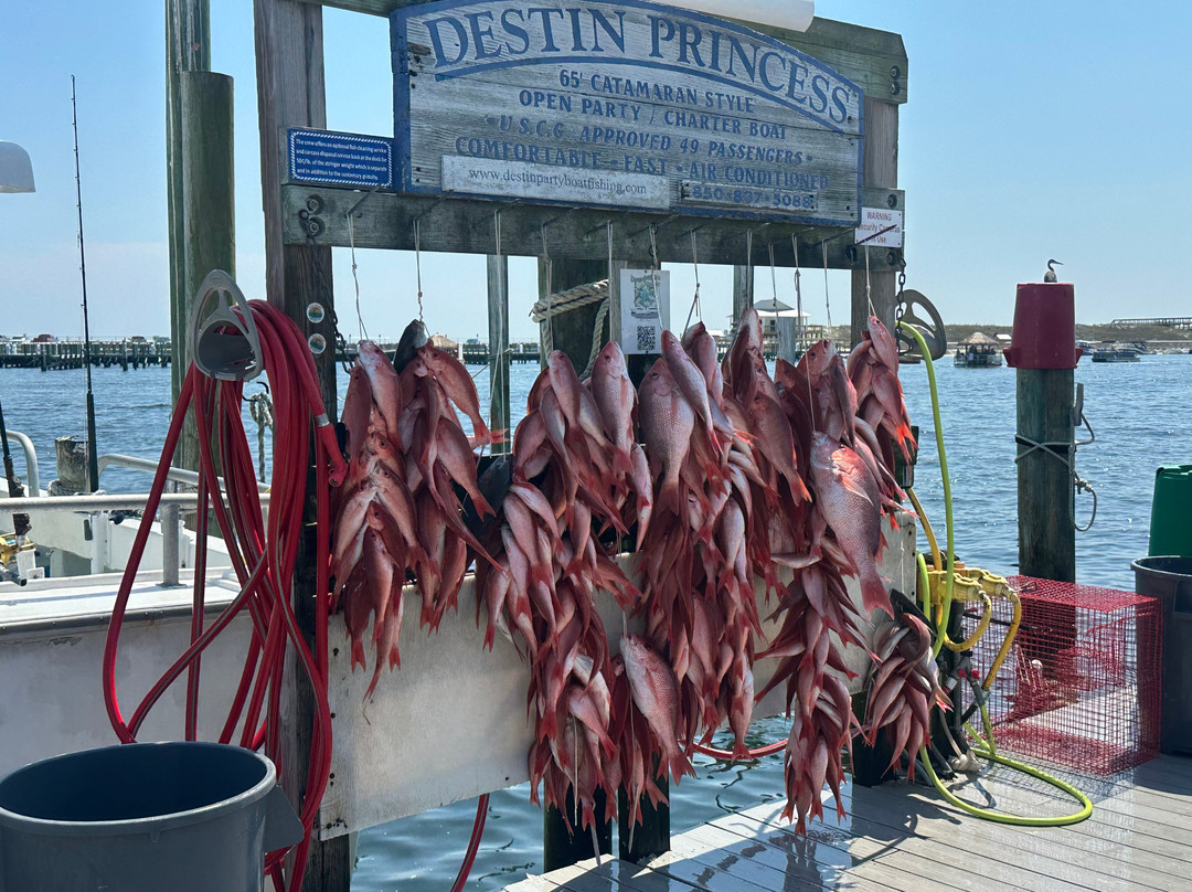 Party Boats DESTINY & DESTIN PRINCESS-Sandestin必去景点