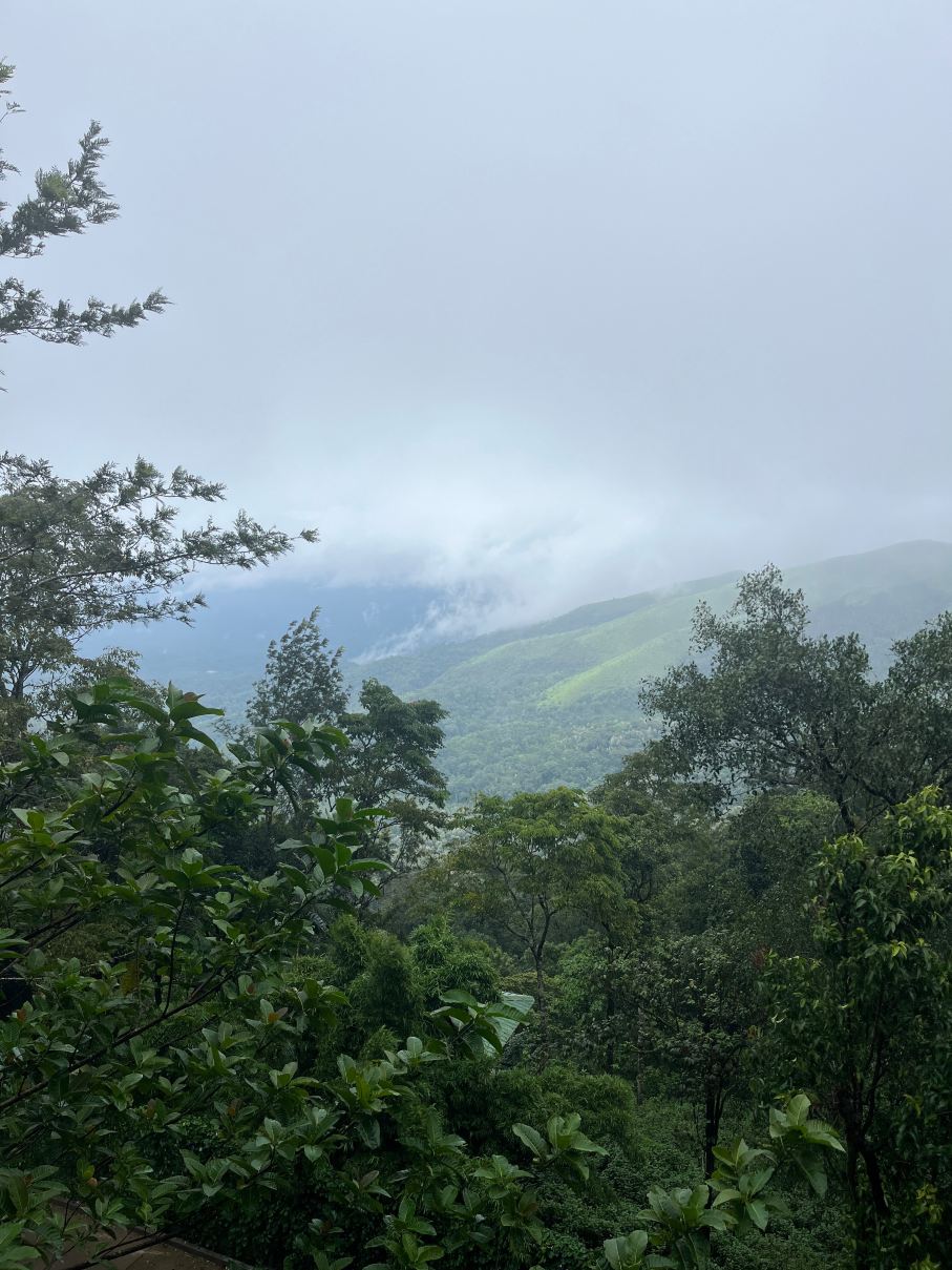车克玛哥拉特里维克度假酒店-旅行者