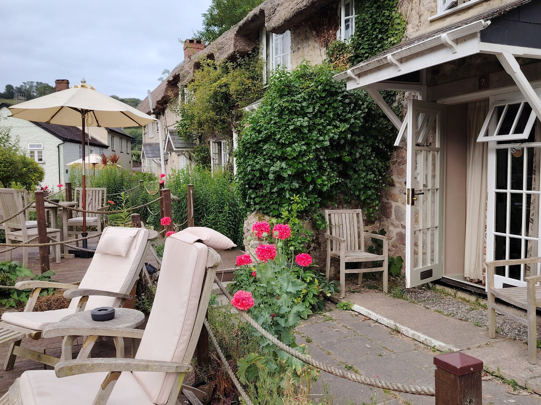 The Masons Arms, Branscombe-Branscombe必去景点