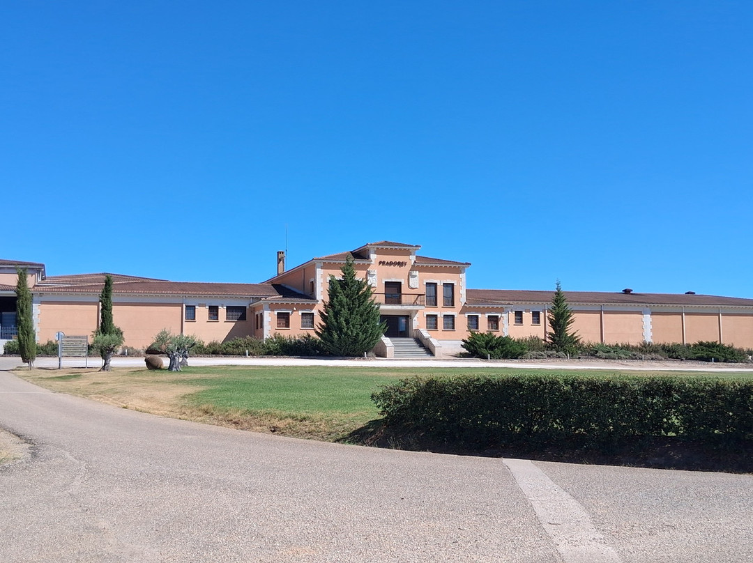 Bodegas Y Vinedos PradoRey-Gumiel Del Mercado必去景点