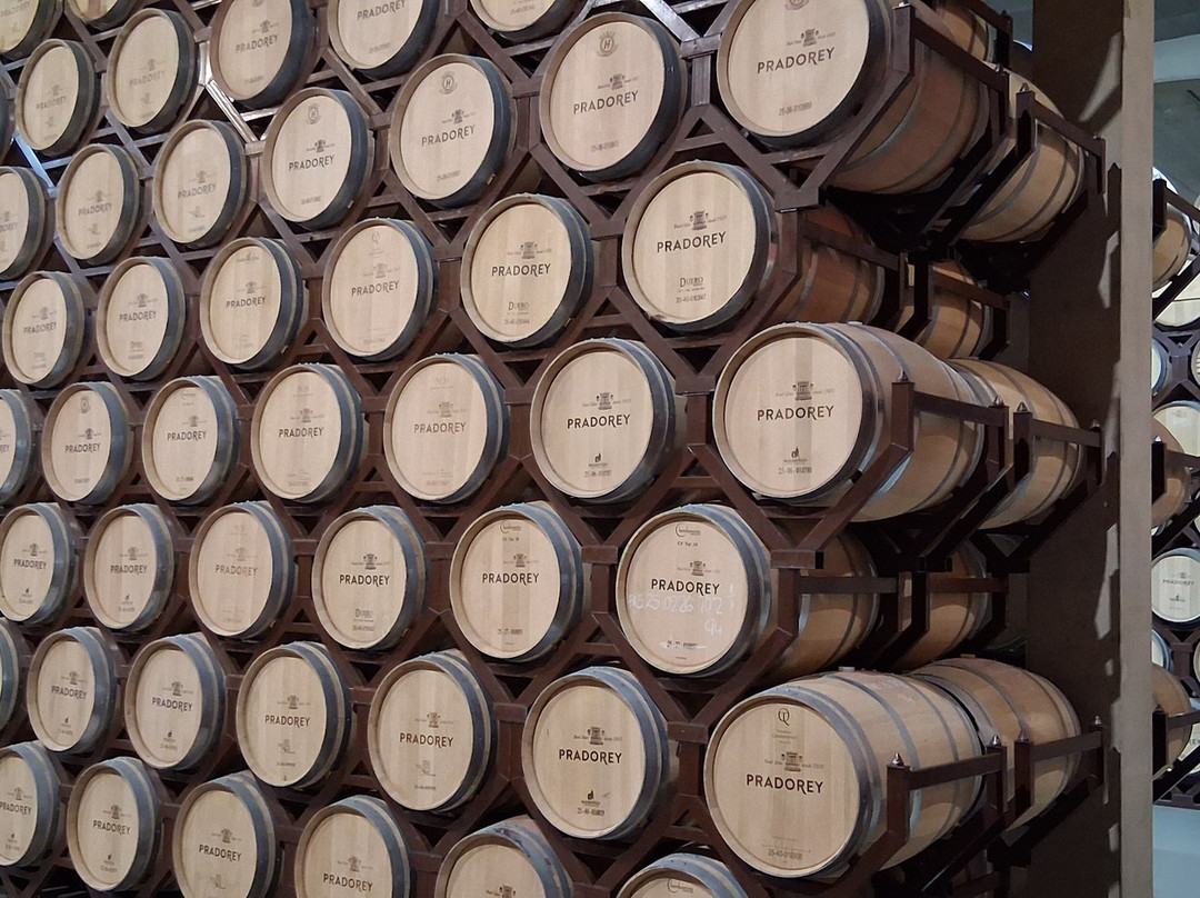 Bodegas Y Vinedos PradoRey-Gumiel Del Mercado必去景点