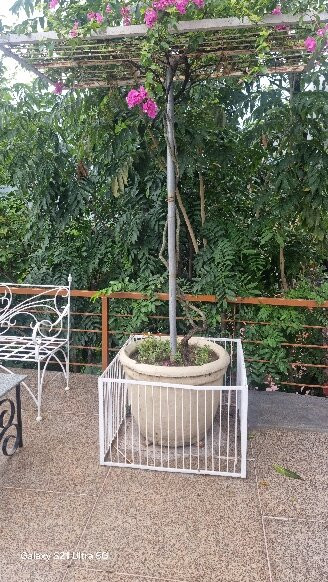 恒河拉贾酒店主图