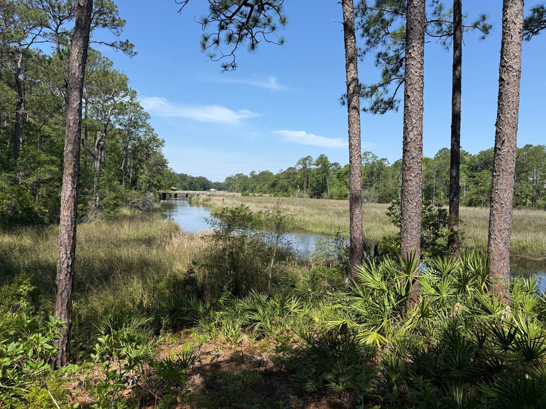Fontainebleau Nature Trail-Ocean Springs必去景点