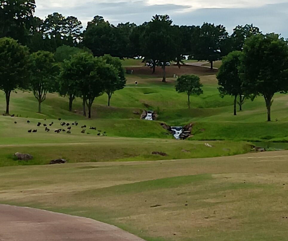 Woodfin Ridge Golf Club-Inman必去景点