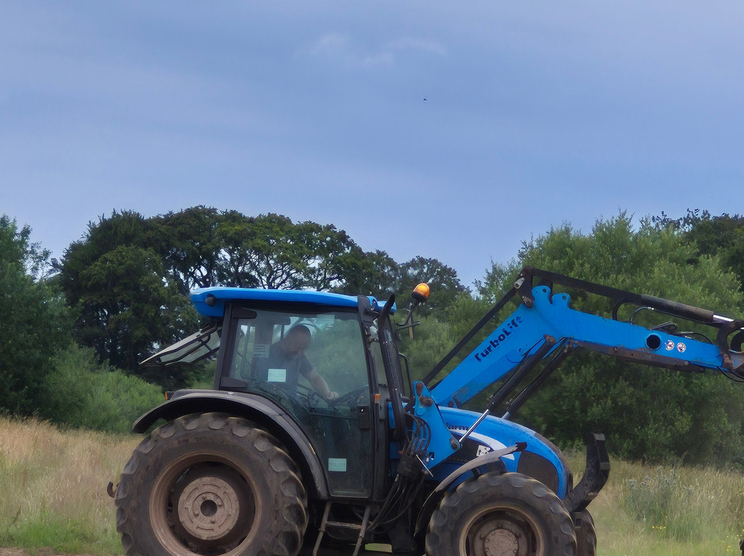 Real Farm Driving-Dalton必去景点
