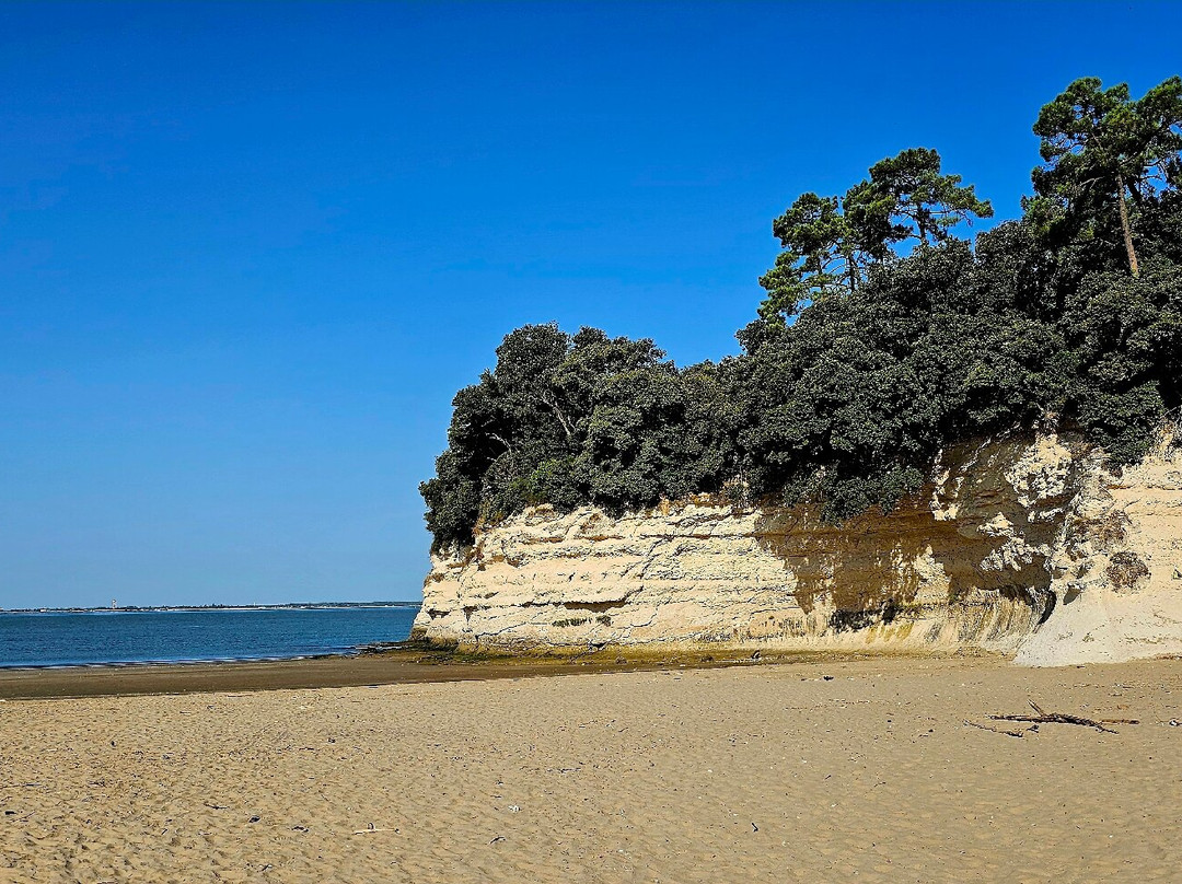 Plage De Suzac-Meschers-sur-Gironde必去景点