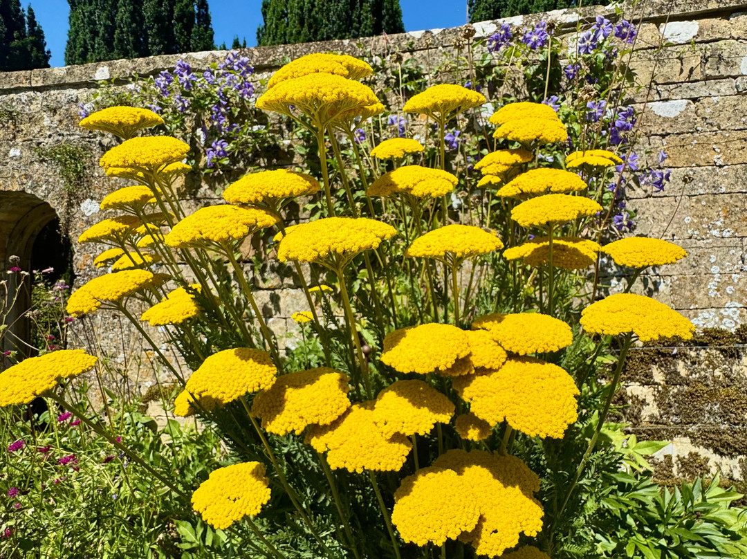 Snowshill Manor and Garden-Snowshill必去景点