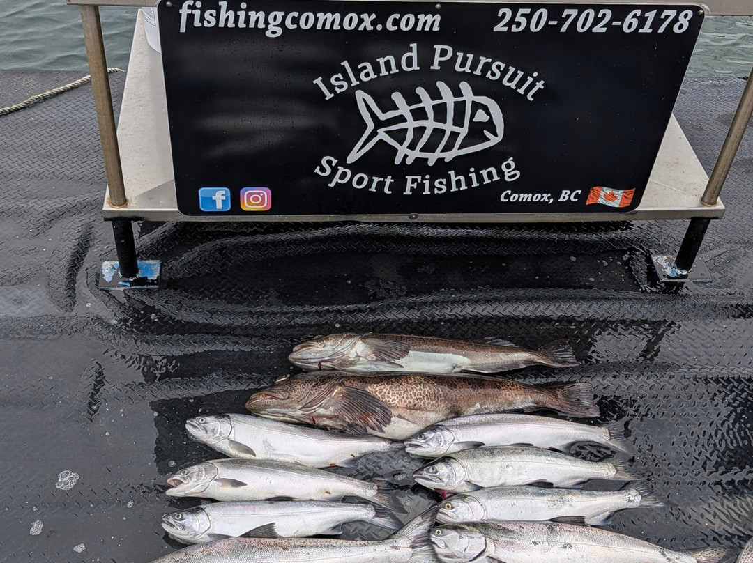 Island Pursuit Sport Fishing-Comox必去景点