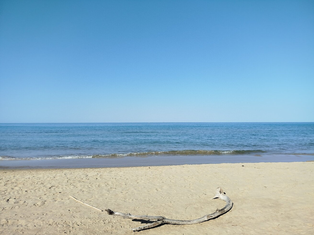 Area Marina Protetta Torre del Cerrano-Pineto必去景点