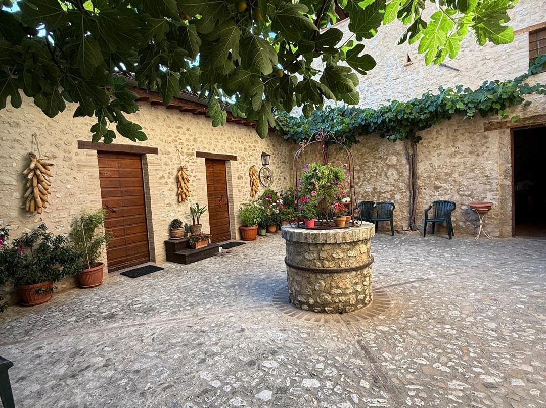 Il Casale degli Amici主图