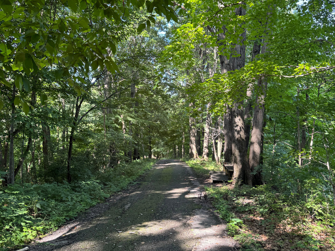 Civil War Fort Duffield-West Point必去景点