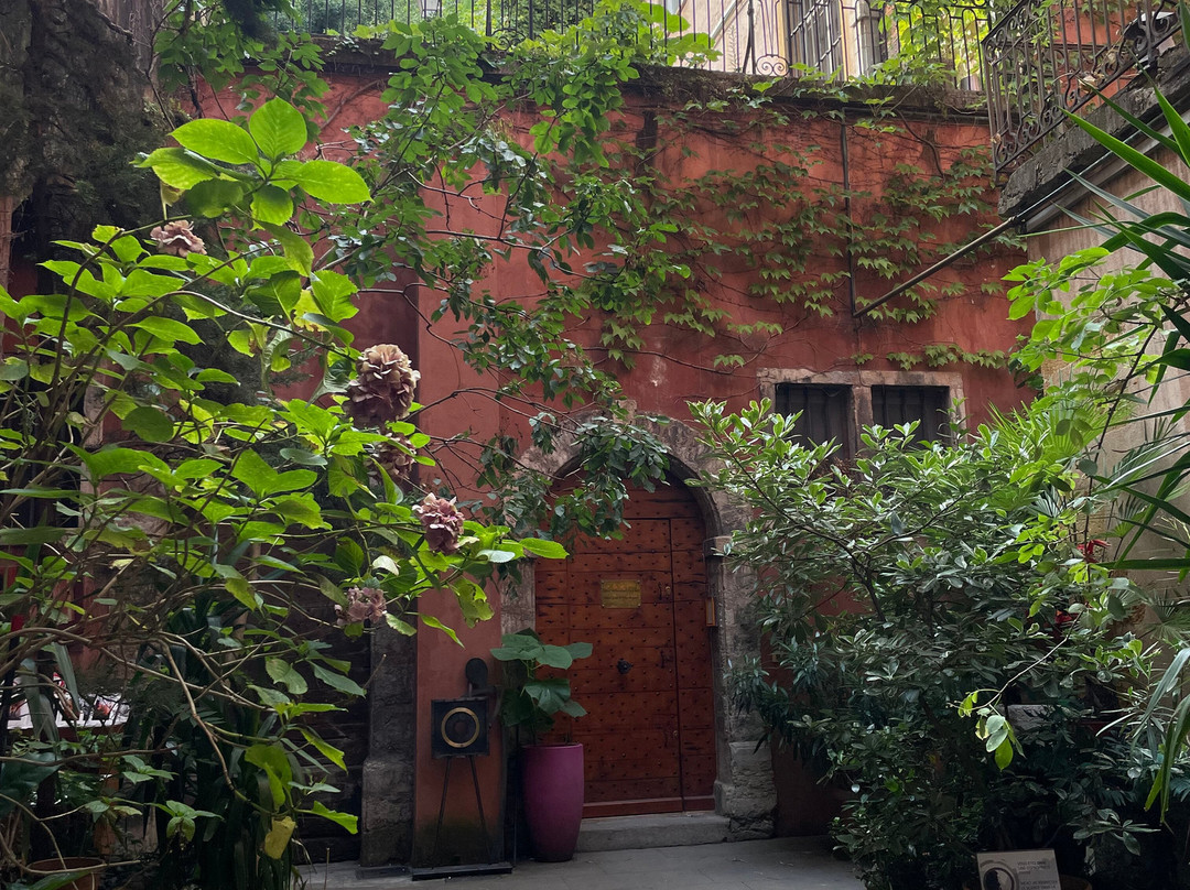 Traboules - Hotel Cour des Loges-里昂必去景点