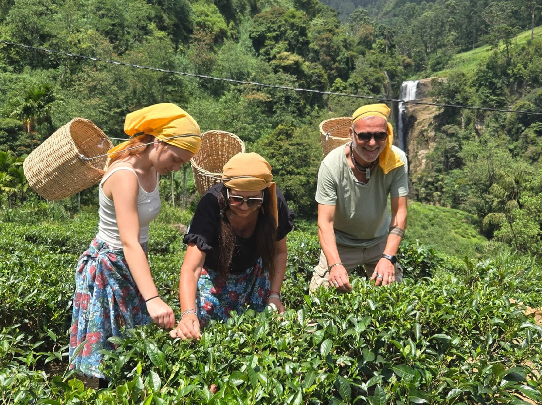 Esela Tours-Wennappuwa必去景点
