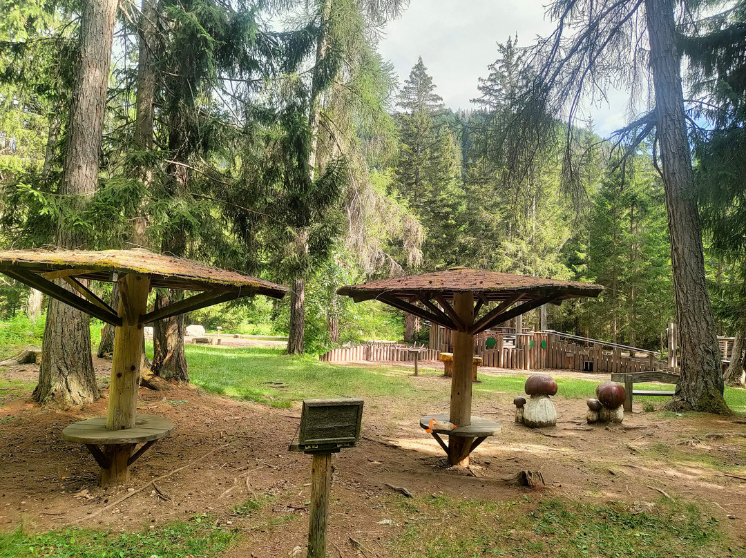 Villaggio degli alberi-多比亚科必去景点