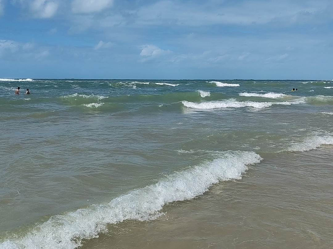 Praia do Francês-Praia do Frances必去景点